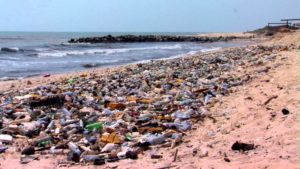 Dirty Beach - Major source of germs and illness