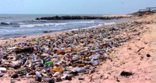 Dirty Beach - Major source of germs and illness