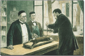 Louis Pasteur experimenting on a rabbit