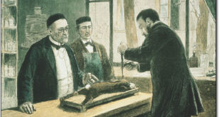 Louis Pasteur experimenting on a rabbit