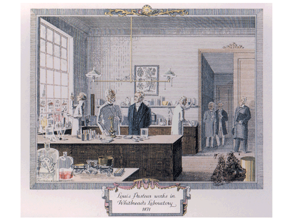 Louis Pasteur working in the Whitebread brewing laboratory