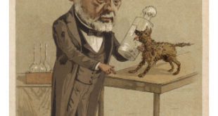 Rabies Vaccine - Pasteur with rabid dogs
