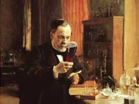 Louis Pasteur Pasteur Brewing Originals Image Gallery