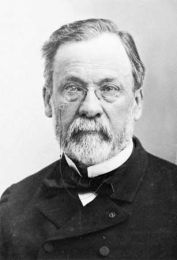 Photograph of Louis Pasteur