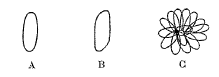 thesedechimie-1