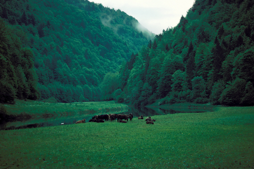 Valley in the Jura Mountains